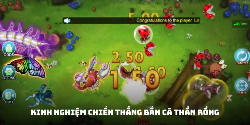 Tuyệt chiêu cực xịn từ cao thủ Tuyệt chiêu cực xịn từ cao thủ