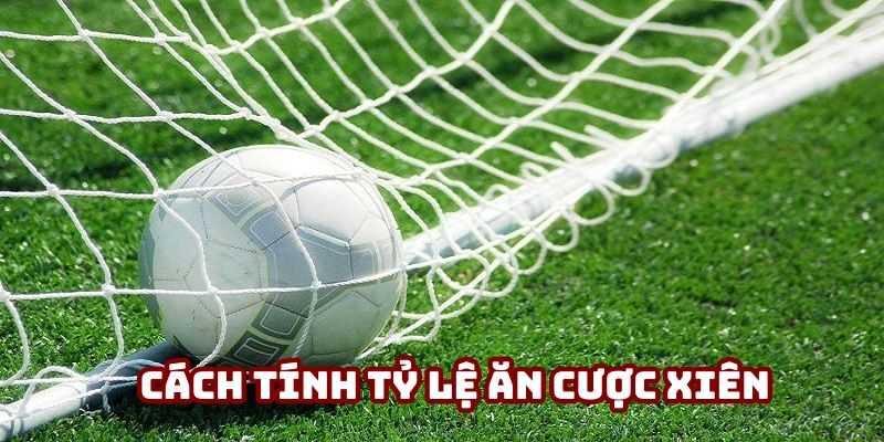 Cách tính tỷ lệ cược xiên là gì Cách tính tỷ lệ cược xiên là gì