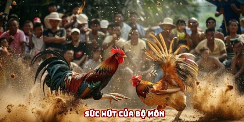 Sức hút của bộ môn Sức hút của bộ môn