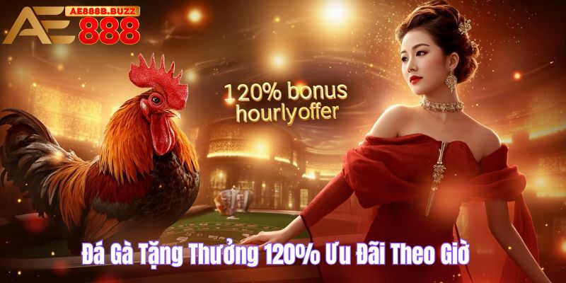 Đá gà tặng thưởng 120% ưu đãi theo giờ