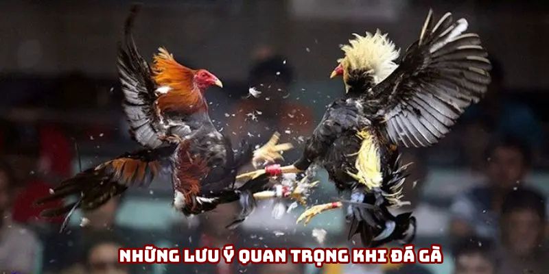 Bỏ túi những lưu ý quan trọng Bỏ túi những lưu ý quan trọng