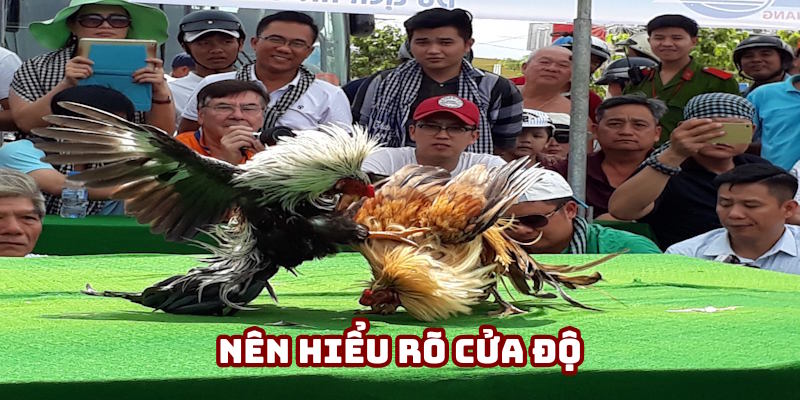 Nên hiểu về cửa độ trong đá gà tre Nên hiểu về cửa độ trong đá gà tre