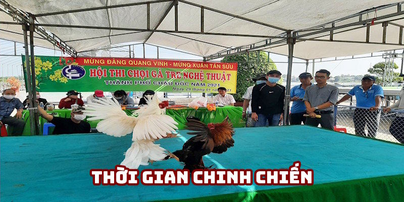 Thời gian thi của đá gà tre Thời gian thi của đá gà tre