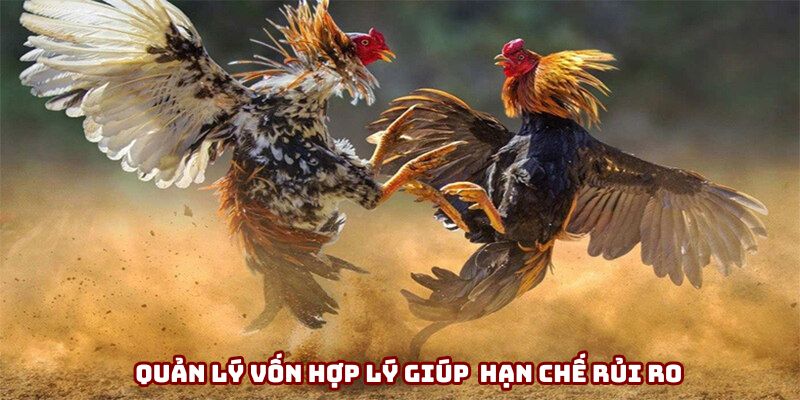 Quản lý vốn hợp lý giúp người chơi hạn chế rủi ro Quản lý vốn hợp lý giúp người chơi hạn chế rủi ro