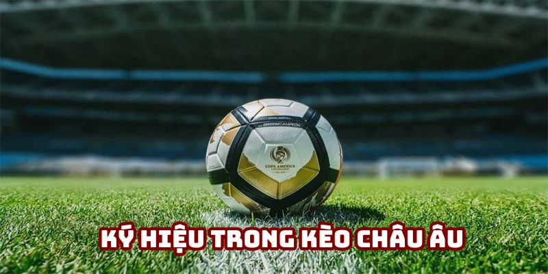 Ký hiệu cần nhớ khi cá độ 1x2 Ký hiệu cần nhớ khi cá độ 1x2