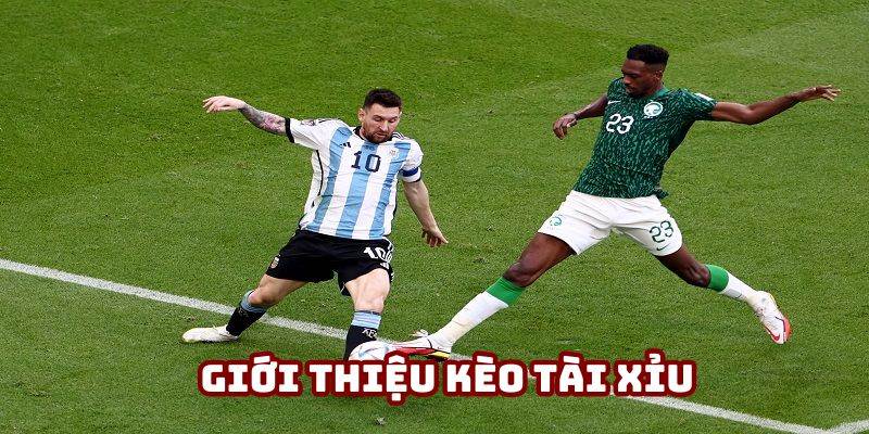 Kèo Tài Xỉu - Cách Đọc Chính Xác Cùng Kinh Nghiệm Cần Nhớ