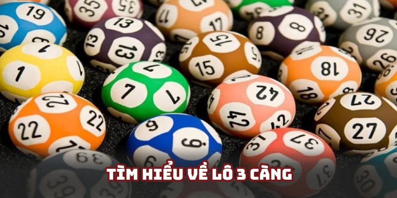 Tìm hiểu về loại hình đánh lô 3 càng hiện nay Tìm hiểu về loại hình đánh lô 3 càng hiện nay
