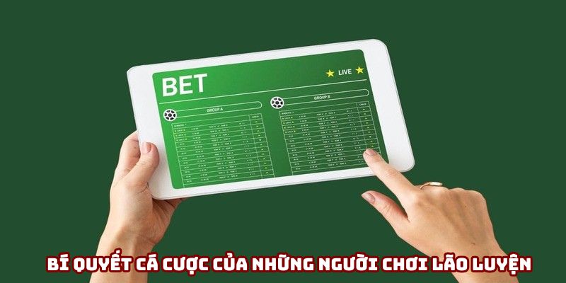 Bí quyết cá cược của những người chơi lão luyện Bí quyết cá cược của những người chơi lão luyện