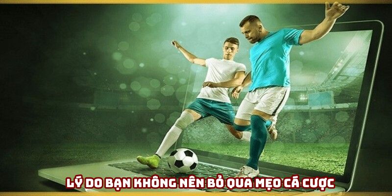 Lý do bạn không nên bỏ qua mẹo cá cược bóng đá Lý do bạn không nên bỏ qua mẹo cá cược bóng đá